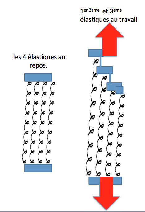 retenue exponentielle